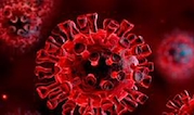Nuovo Coronavirus – 10 comportamenti da seguire secondo le indicazioni dell’Istituto Superiore di Sanità
